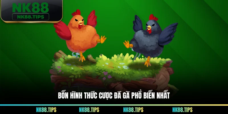 Bốn hình thức cược đá gà phổ biến nhất