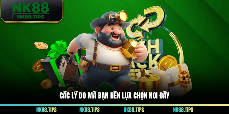 Các lý do mà bạn nên lựa chọn nơi đây
