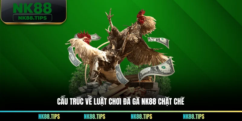 Cấu trúc về luật chơi đá gà NK88 chặt chẽ