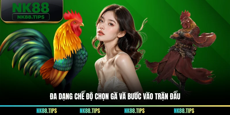 Đa dạng chế độ chọn gà và bước vào trận đấu