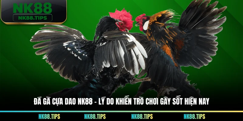 Đá Gà Cựa Dao NK88 – Lý Do Khiến Trò Chơi Gây Sốt Hiện Nay