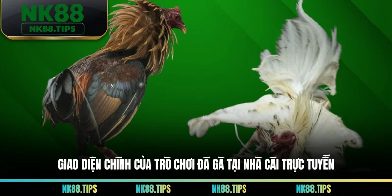 Giao diện chính của trò chơi đá gà tại nhà cái trực tuyến