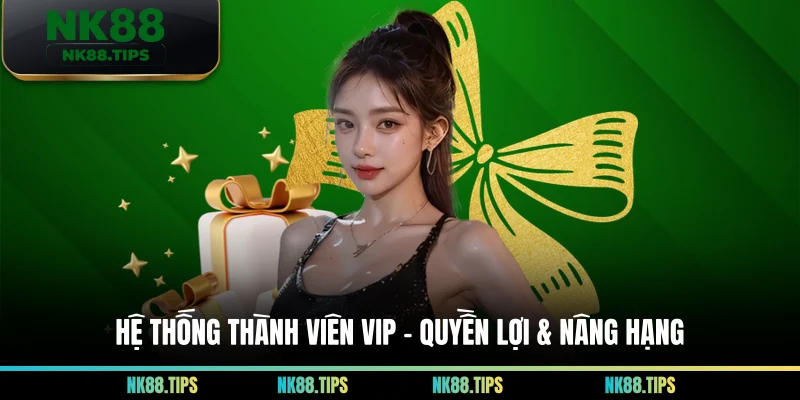 Hệ Thống Thành Viên VIP – Quyền Lợi & Nâng Hạng
