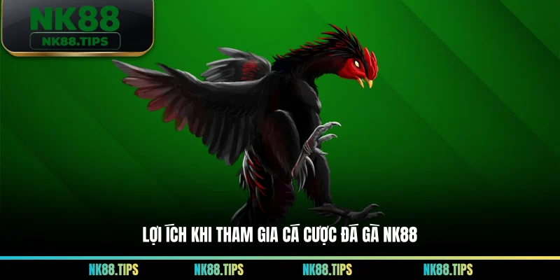 Lợi ích khi tham gia cá cược đá gà NK88