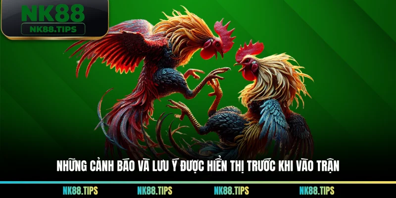 Những cảnh báo và lưu ý được hiển thị trước khi vào trận