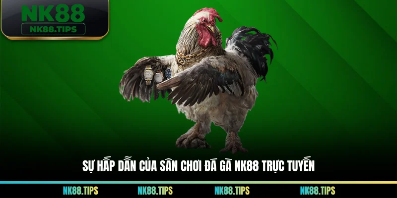 Sự hấp dẫn của sân chơi đá gà NK88 trực tuyến