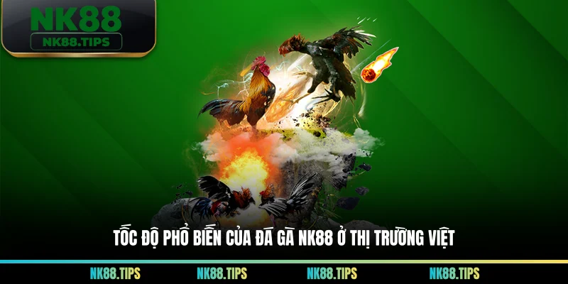 Tốc độ phổ biến của đá gà NK88 ở thị trường Việt